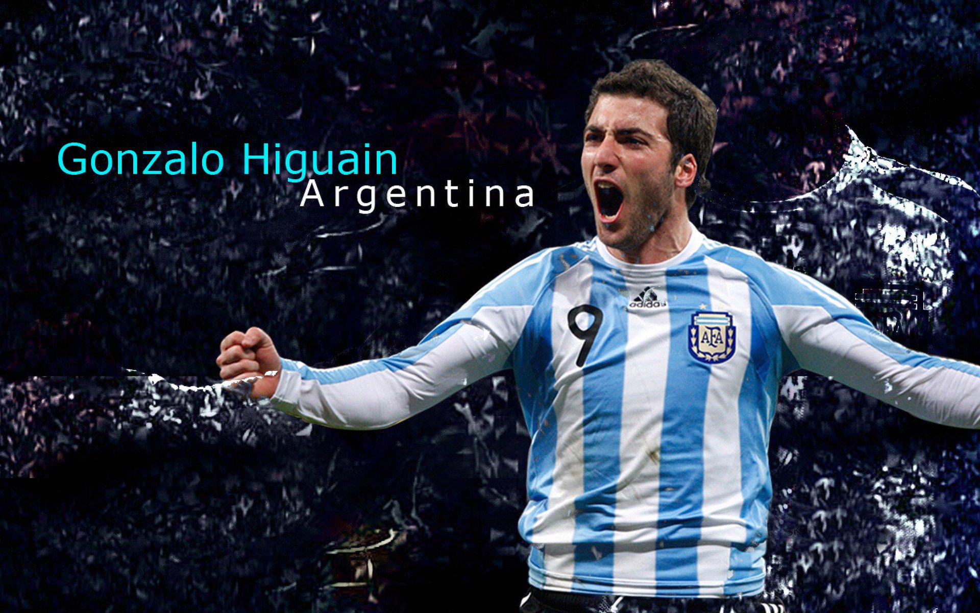 澳网2024,新生代崛起,老将传奇延续