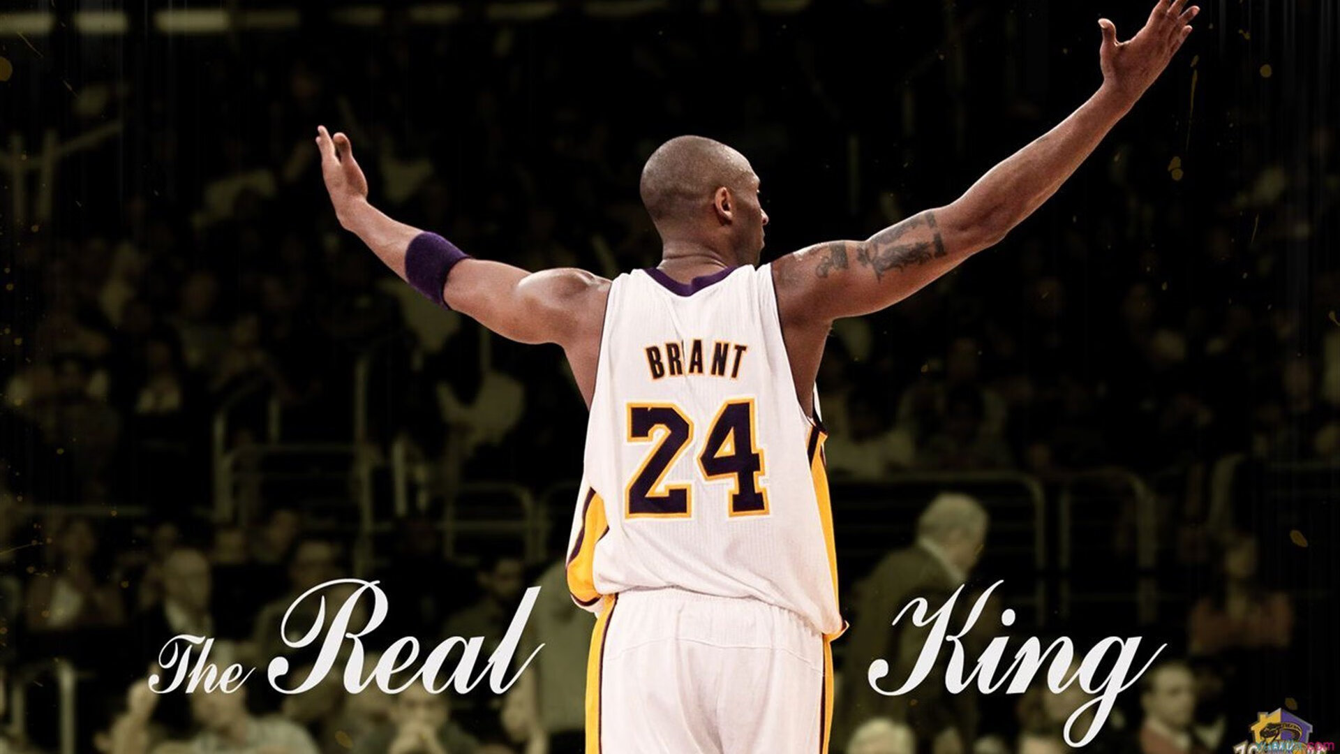 体育科技革新竞技场,智能装备与数据分析如何重塑现代体育