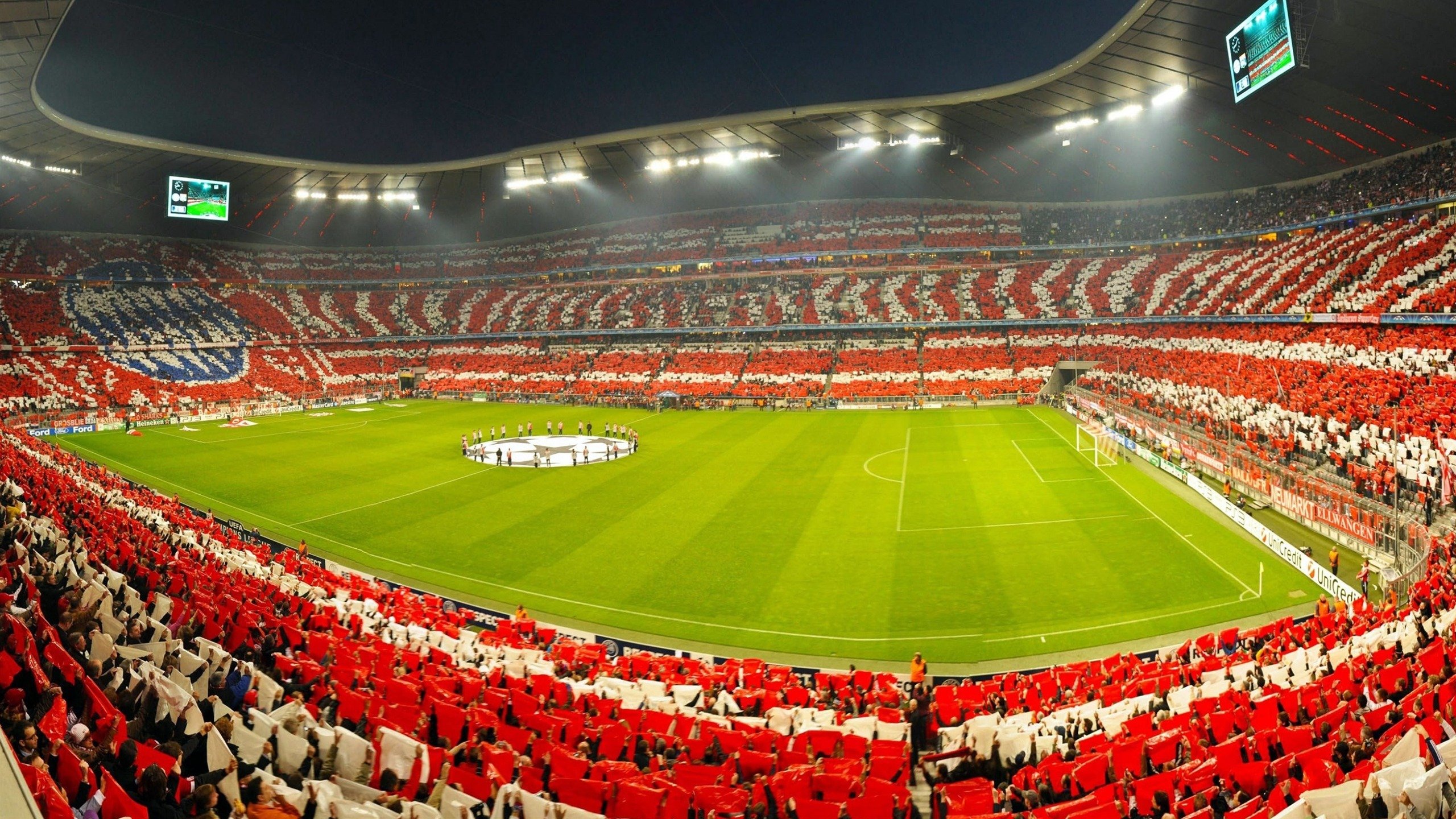 中国跳水队包揽世界杯金牌 新生代选手展现绝对统治力